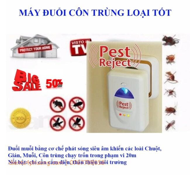 may-duoi-con-trung-1504164629-7539345-270f93c6d546ac2151afe2f7e323ccf9.jpg